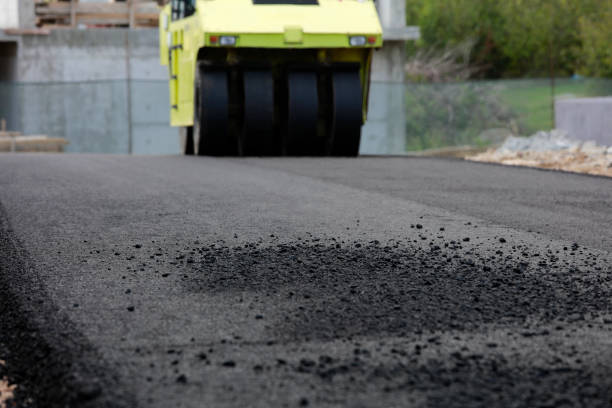 Best Professional Driveway Pavers  in Harvest, AL